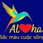 CÔNG TY TNHH SONG ƯNG