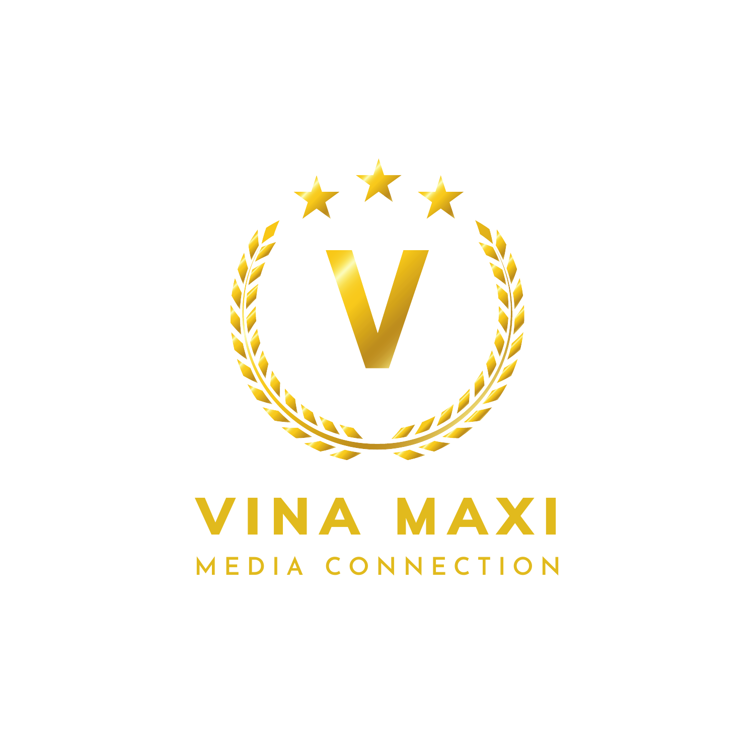 CÔNG TY TNHH VINA MAXI