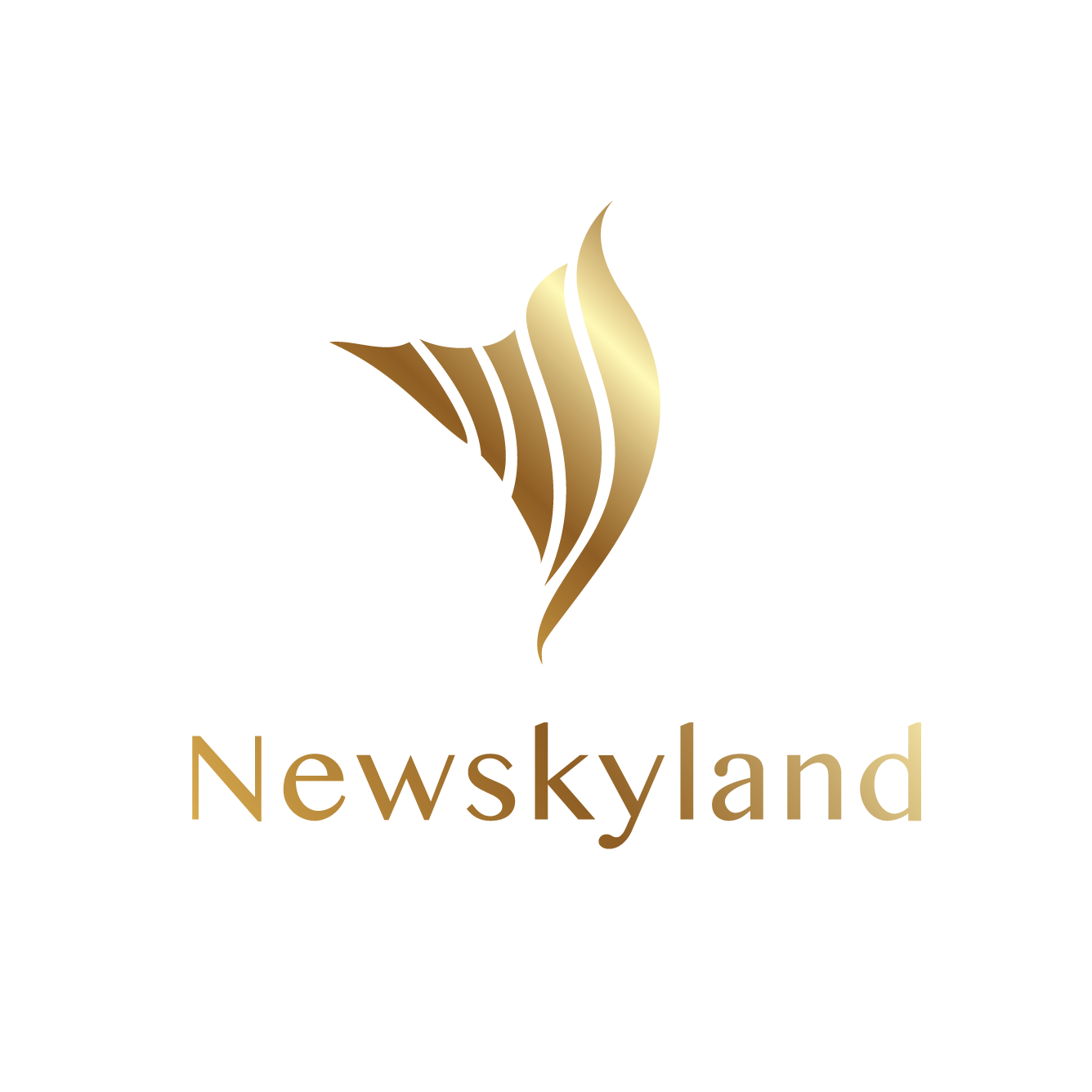 CÔNG TY TNHH BẦU TRỜI MỚI - NEW SKY LAND COMPANY LIMITED