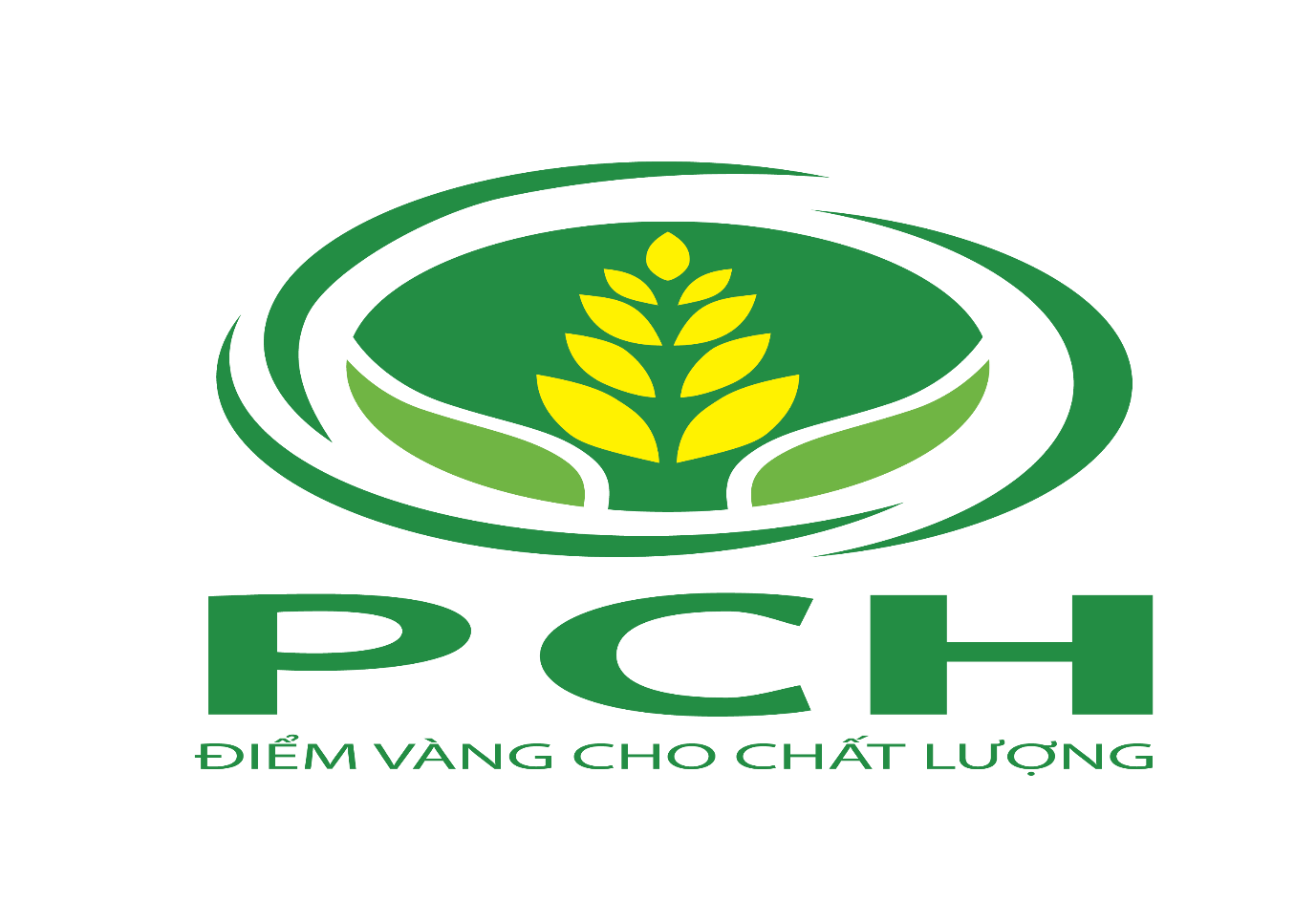 CÔNG TY TRÁCH NHIỆM HỮU HẠN PHAN CHI HUY