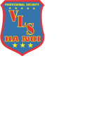 Dịch vụ bảo vệ vls