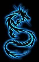 DONG LONG SHIPPING CO.,  LTD.
