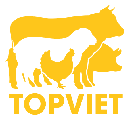 Công ty TNHH Thực Phẩm Top Việt