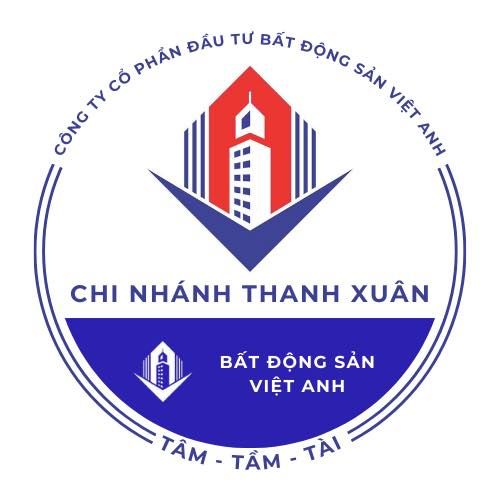 CÔNG TY CỔ PHẦN ĐẦU TƯ BẤT ĐỘNG SẢN VIỆT ANH