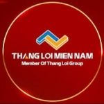 CÔNG TY CỔ PHẦN ĐẦU TƯ KINH DOANH BẤT ĐỘNG SẢN THẮNG LỢI MIỀN NAM (NTNN)
