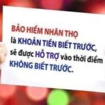 Bảo Hiểm Nhân Thọ Việt Nam