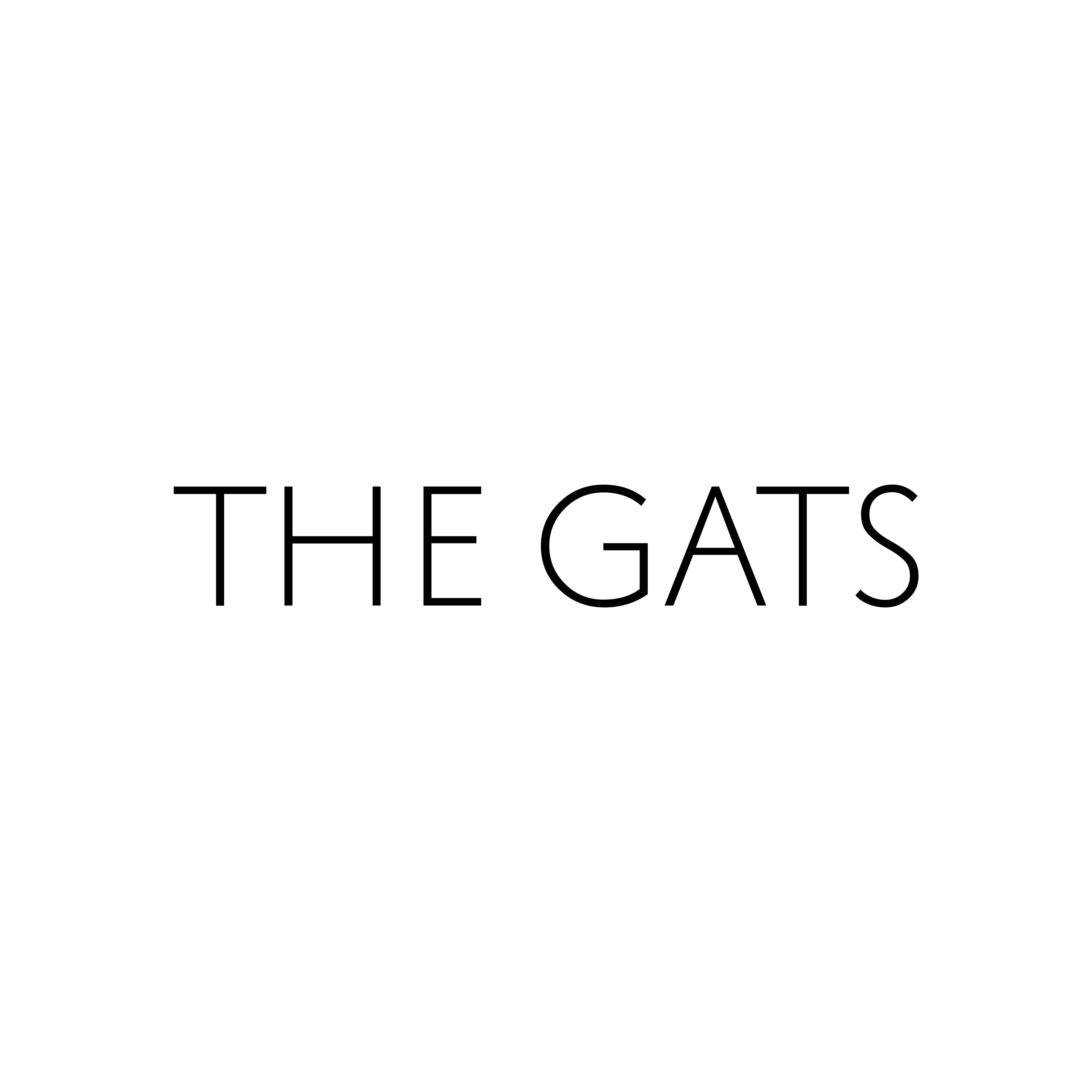 Công ty Cổ phần Đầu tư The Gats