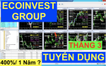 Ecoinvestgroup