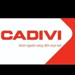 CÔNG TY TNHH MTV CADIVI MIỀN BẮC