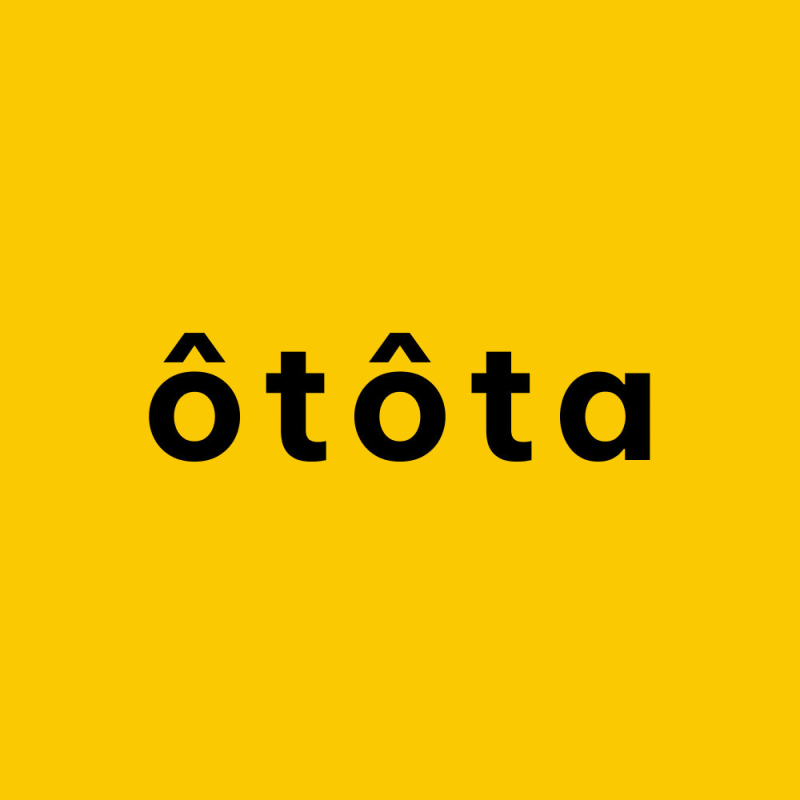 Công ty TNHH OTOTA