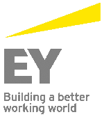 Ernst & Young Vietnam Limited