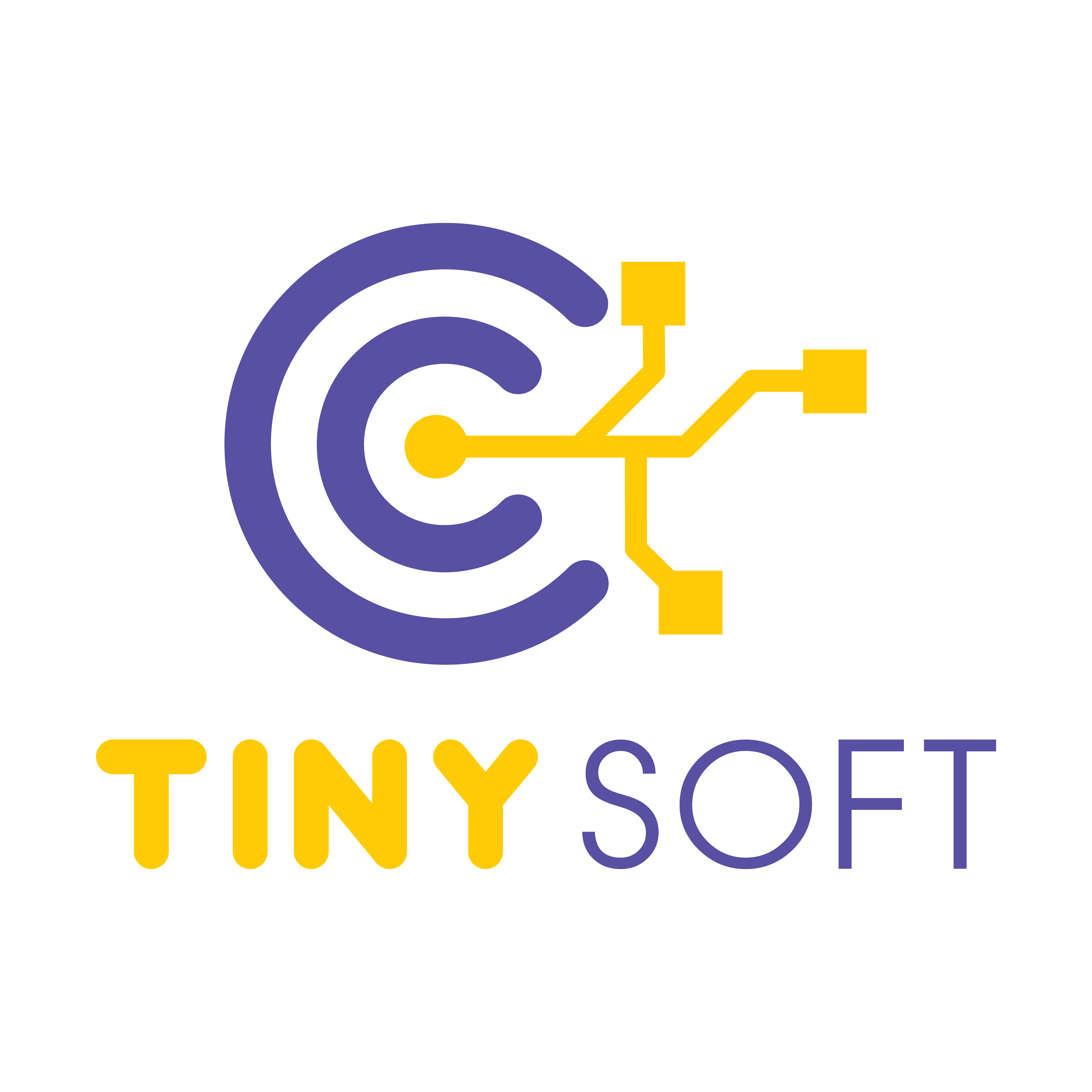 CÔNG TY TNHH TINYSOFT