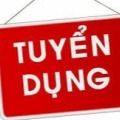 CÔNG TY CỔ PHẦN THƯƠNG MẠI VÀ DỊCH VỤ HÀNH TRÌNH XANH