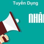 CÔNG TY TNHH GEEKSTAR VRIZ-NET