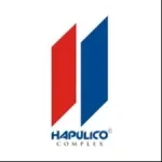 VĂN PHÒNG CÔNG TY CỔ PHẦN ĐẦU TƯ BẤT ĐỘNG SẢN HAPULICO