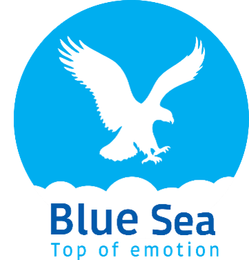 CÔNG TY CỔ PHẦN BAO BÌ BLUE SEA