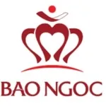CÔNG TY CỔ PHẦN ĐẦU TƯ SẢN XUẤT BẢO NGỌC MIỀN NAM
