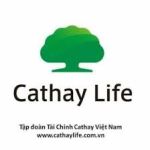 Công Ty TNHH Bảo Hiểm Nhân Thọ Cathay Việt Nam