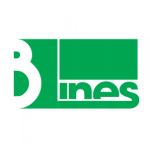 CÔNG TY CỔ PHẦN GIAO NHẬN VẬN TẢI B LINES