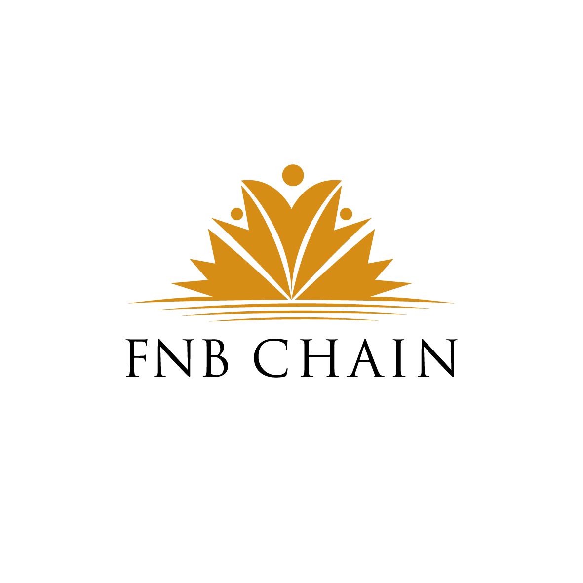 Công Ty CP FNBCHAIN