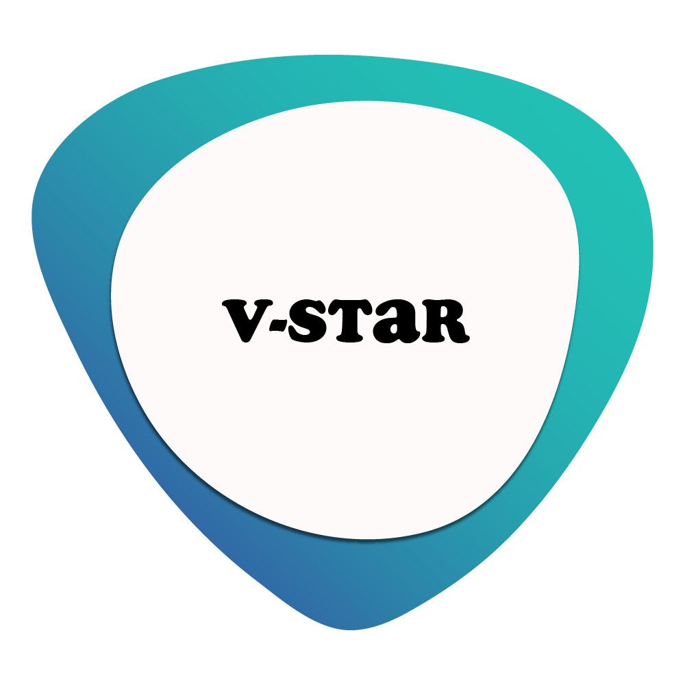 CÔNG TY TNHH XUẤT NHẬP KHẨU V-STAR