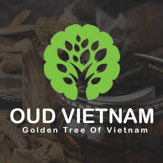 CÔNG TY TNHH THƯƠNG MẠI BRAVO