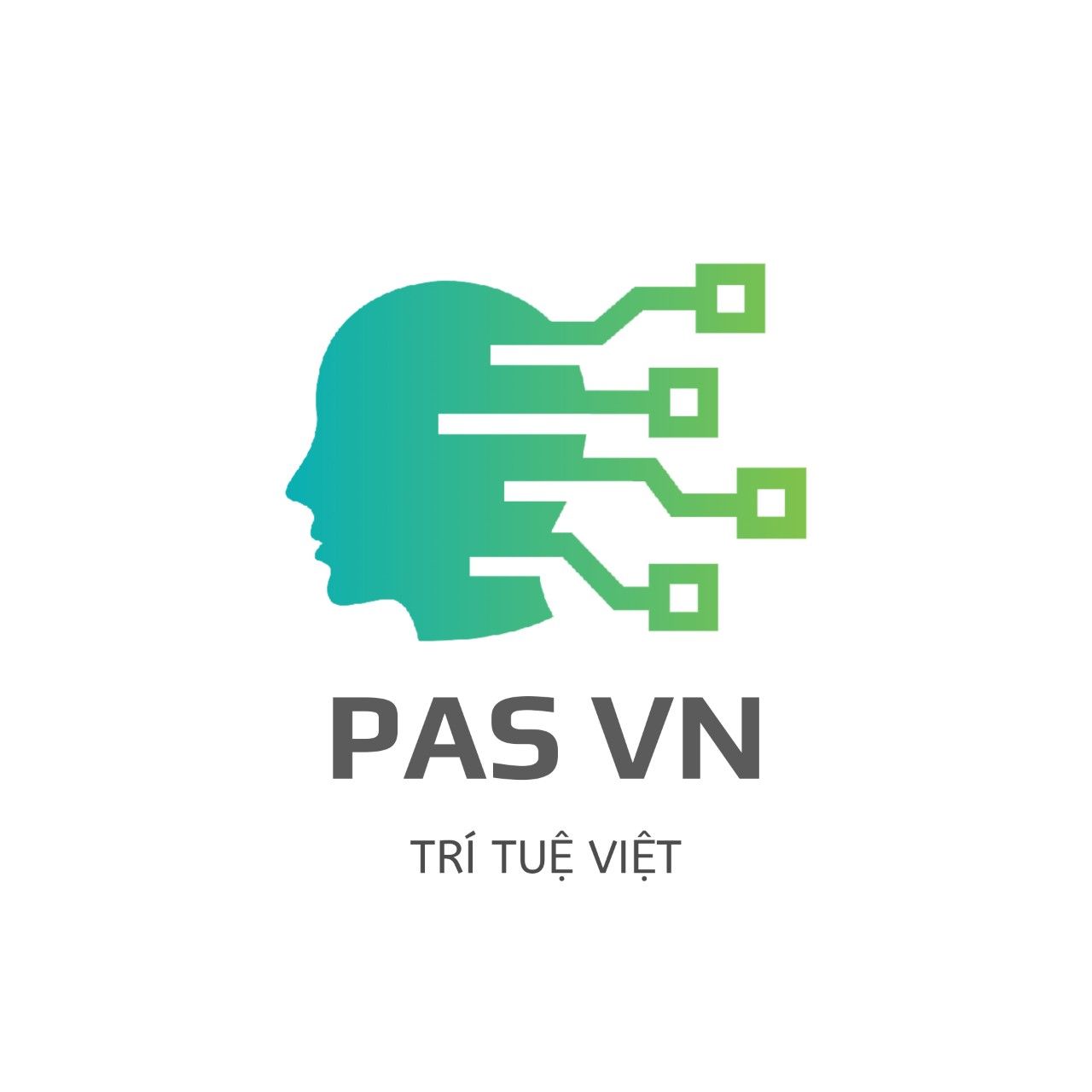 CÔNG TY TNHH GIẢI PHÁP TỰ ĐỘNG HÓA PAS VIỆT NAM