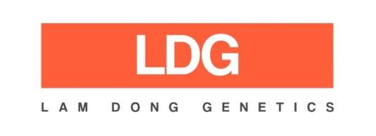 CÔNG TY TNHH GIỐNG CÂY TRỒNG LÂM ĐỒNG