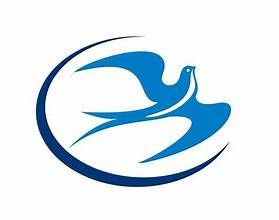 CÔNG TY TNHH MỘT THÀNH VIÊN DỆT KIM ĐÔNG XUÂN
