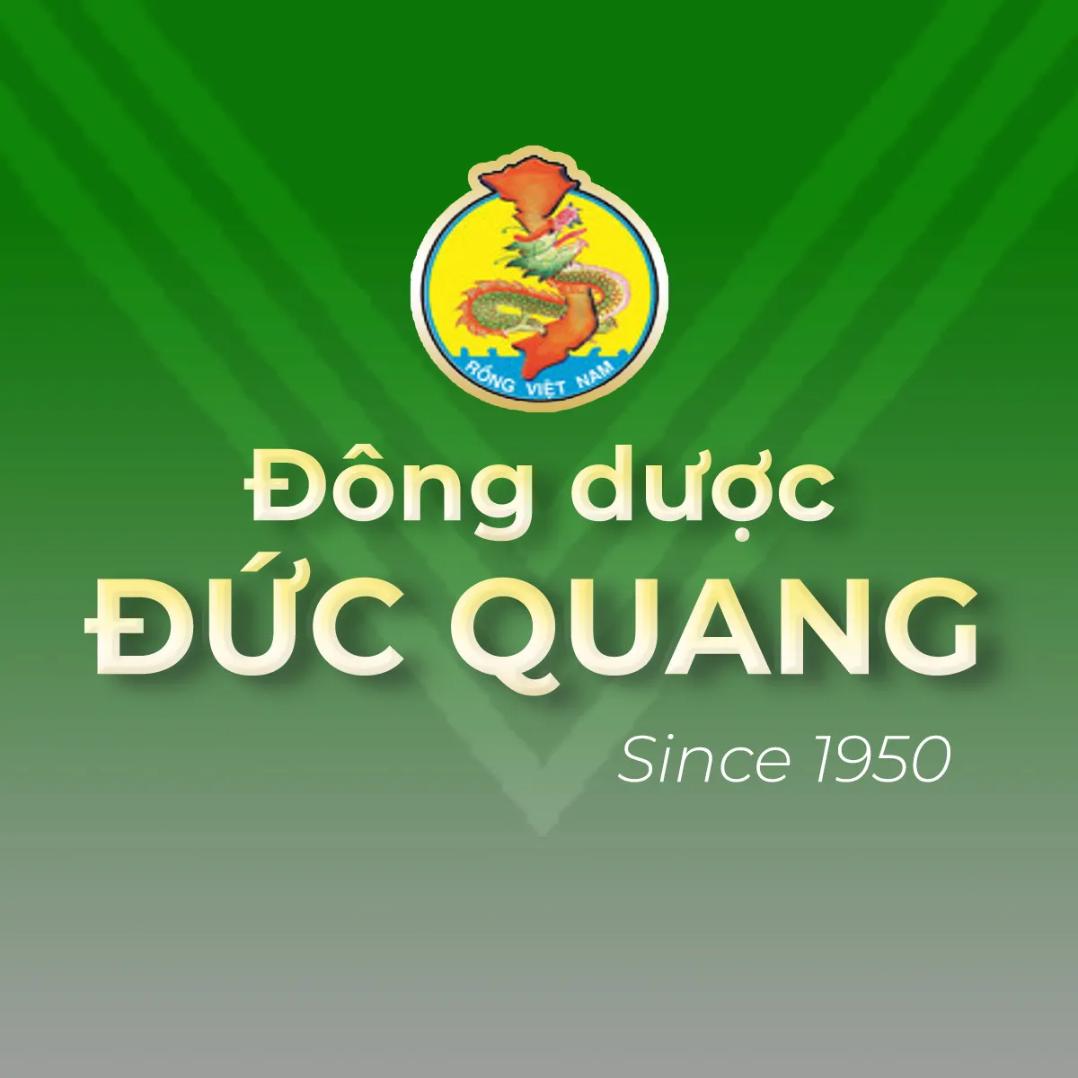 Cơ Sở Kinh Doanh Thuốc YHCT Đức Quang