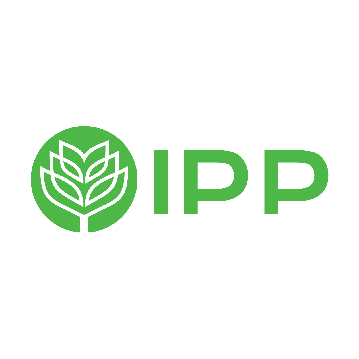 Công ty CP IPP Group
