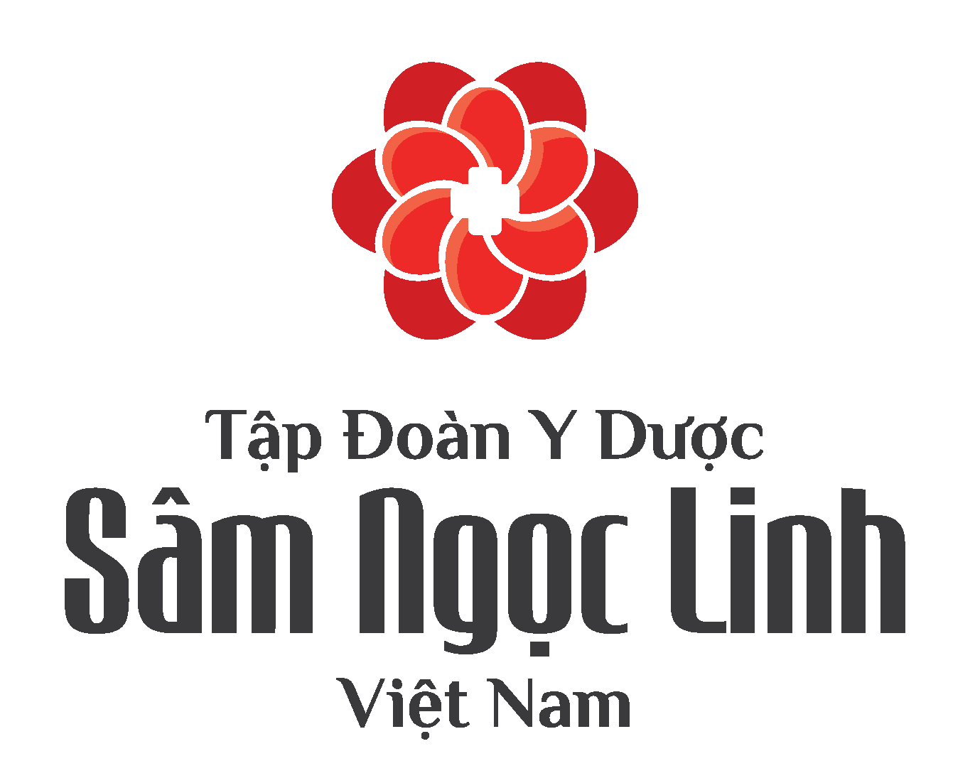 Công Ty Cổ phần Tập Đoàn Y Dược Sâm Ngọc Linh Việt Nam