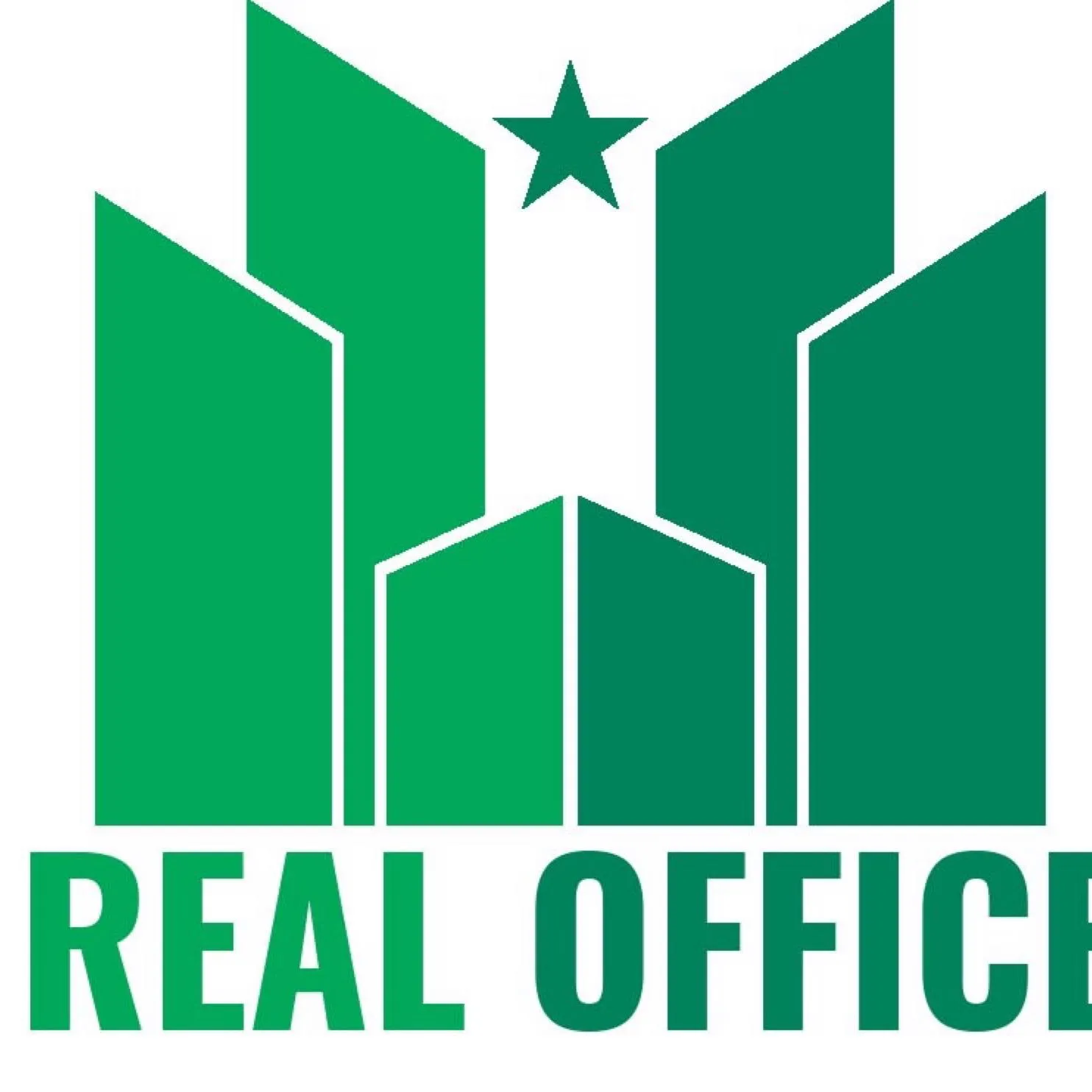 Công ty đầu tư cổ phần thương mại REAL OFFICE