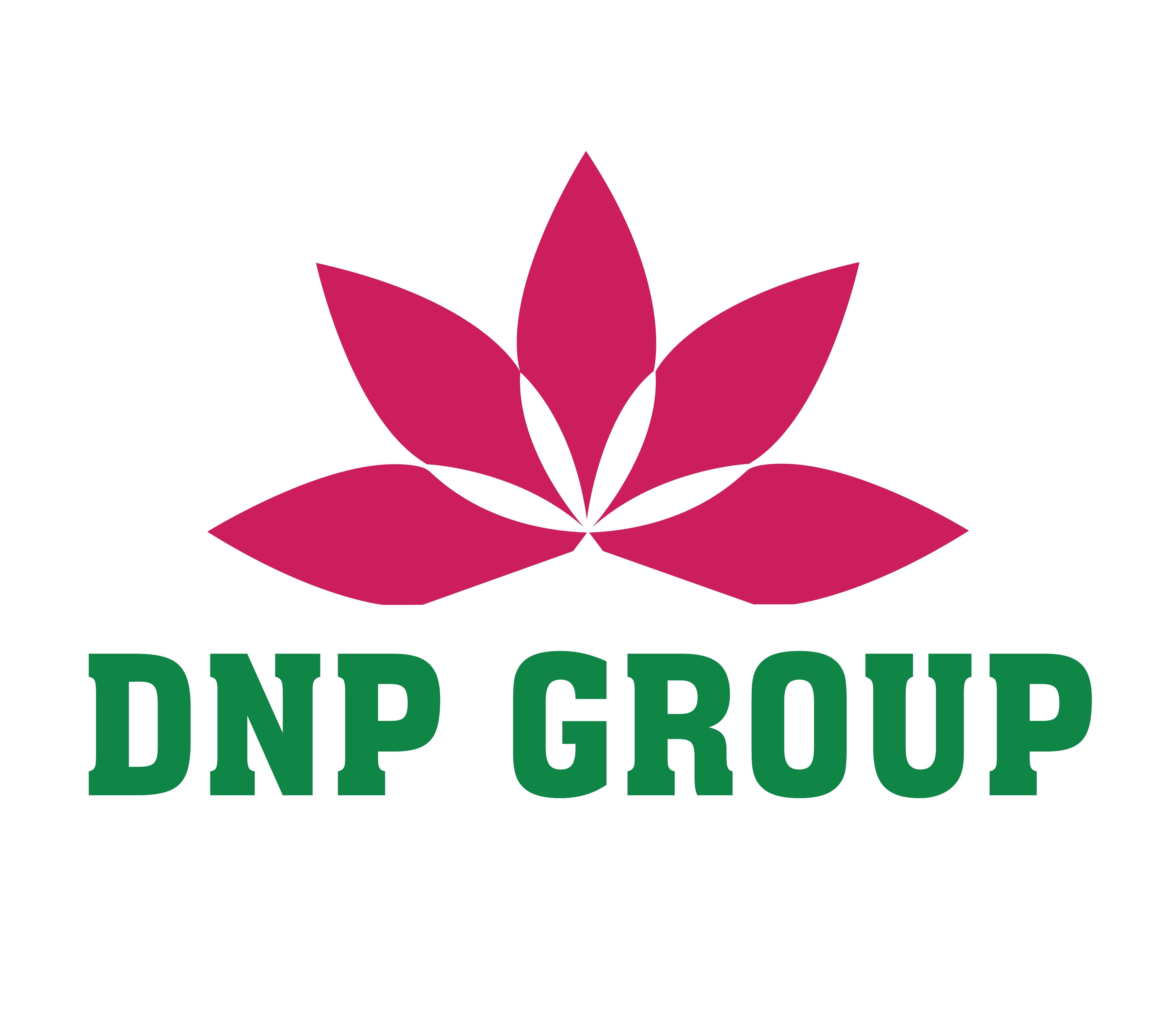 CÔNG TY TNHH SẢN XUẤT-THƯƠNG MẠI DNP GROUP