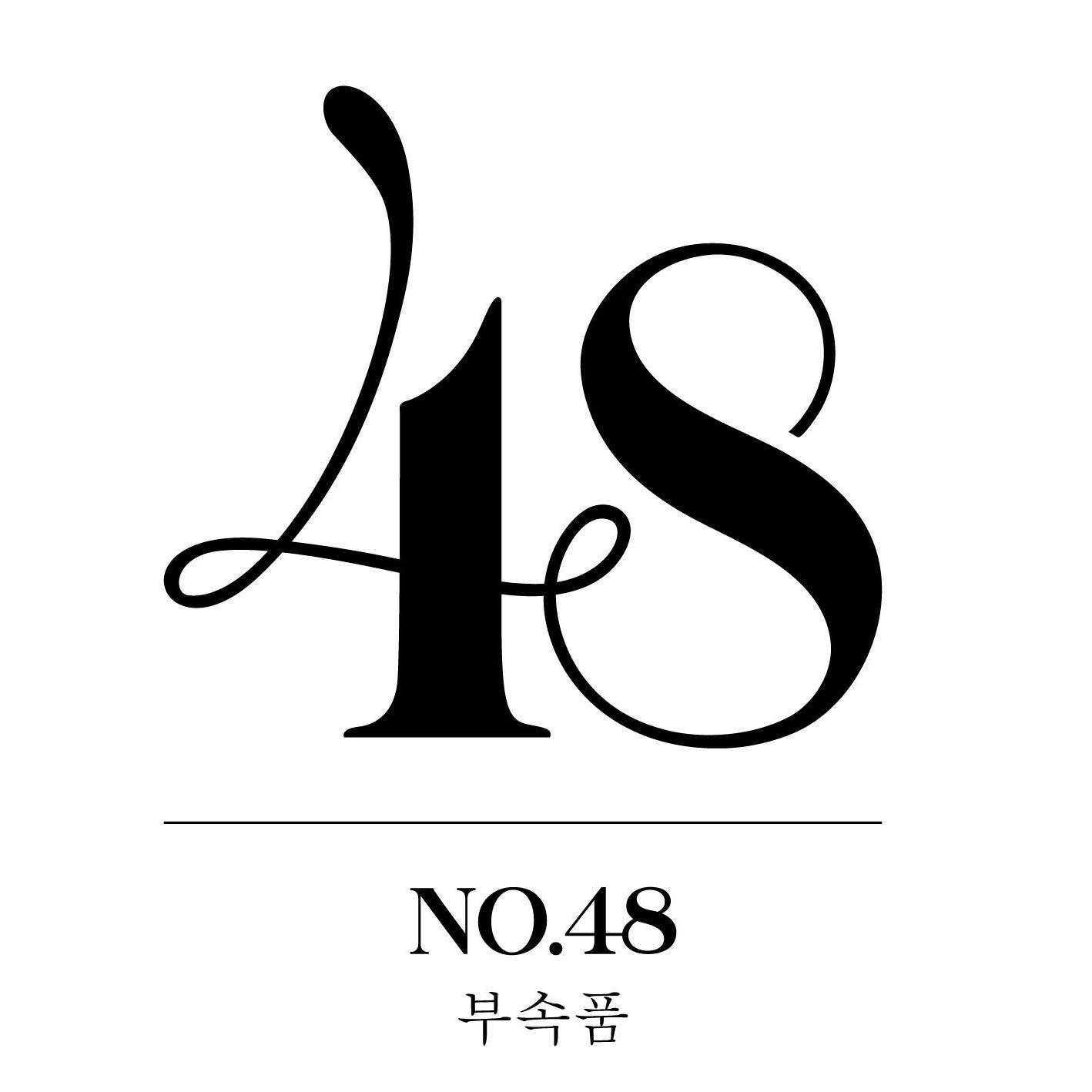 No48Accessories