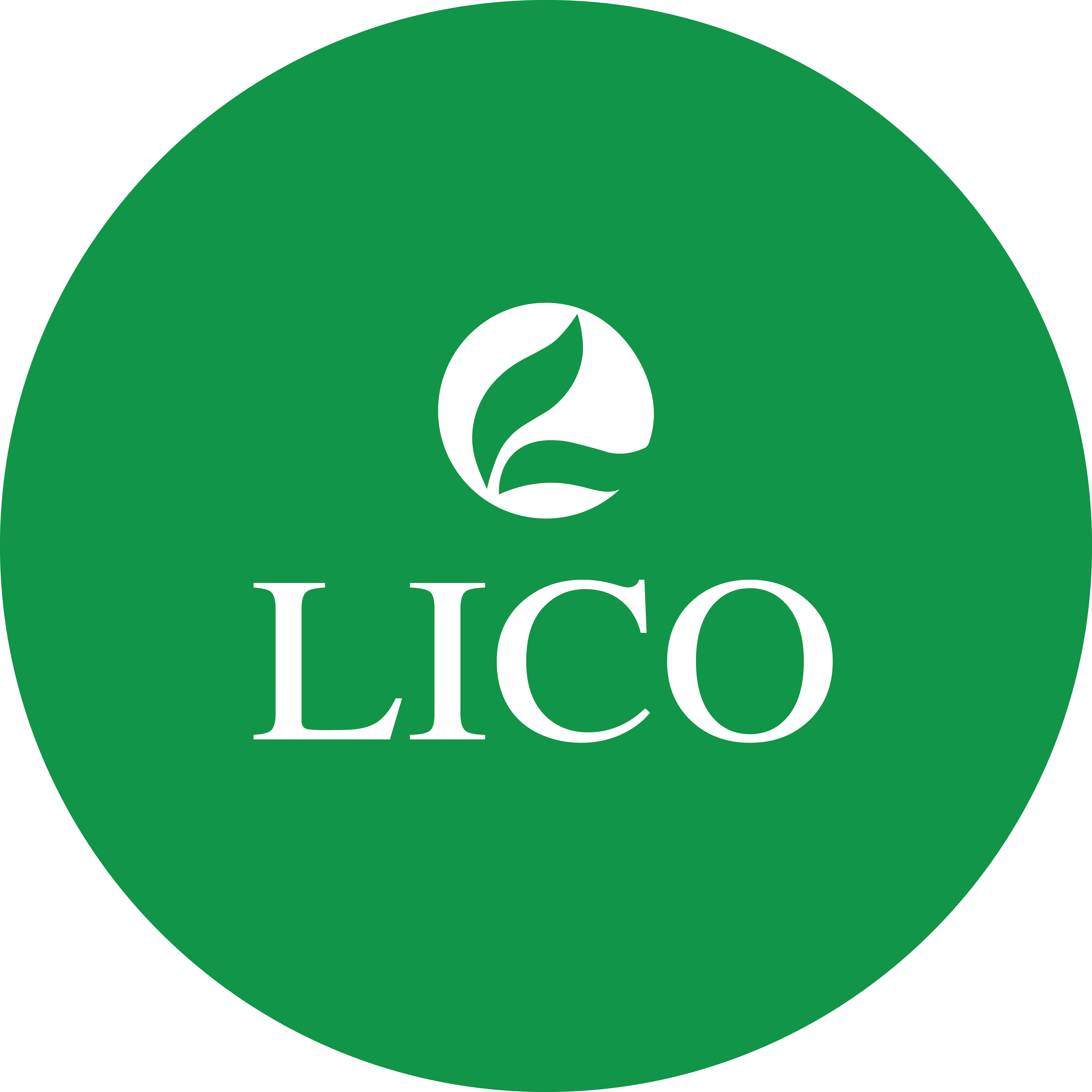 CÔNG TY TNHH LICOG