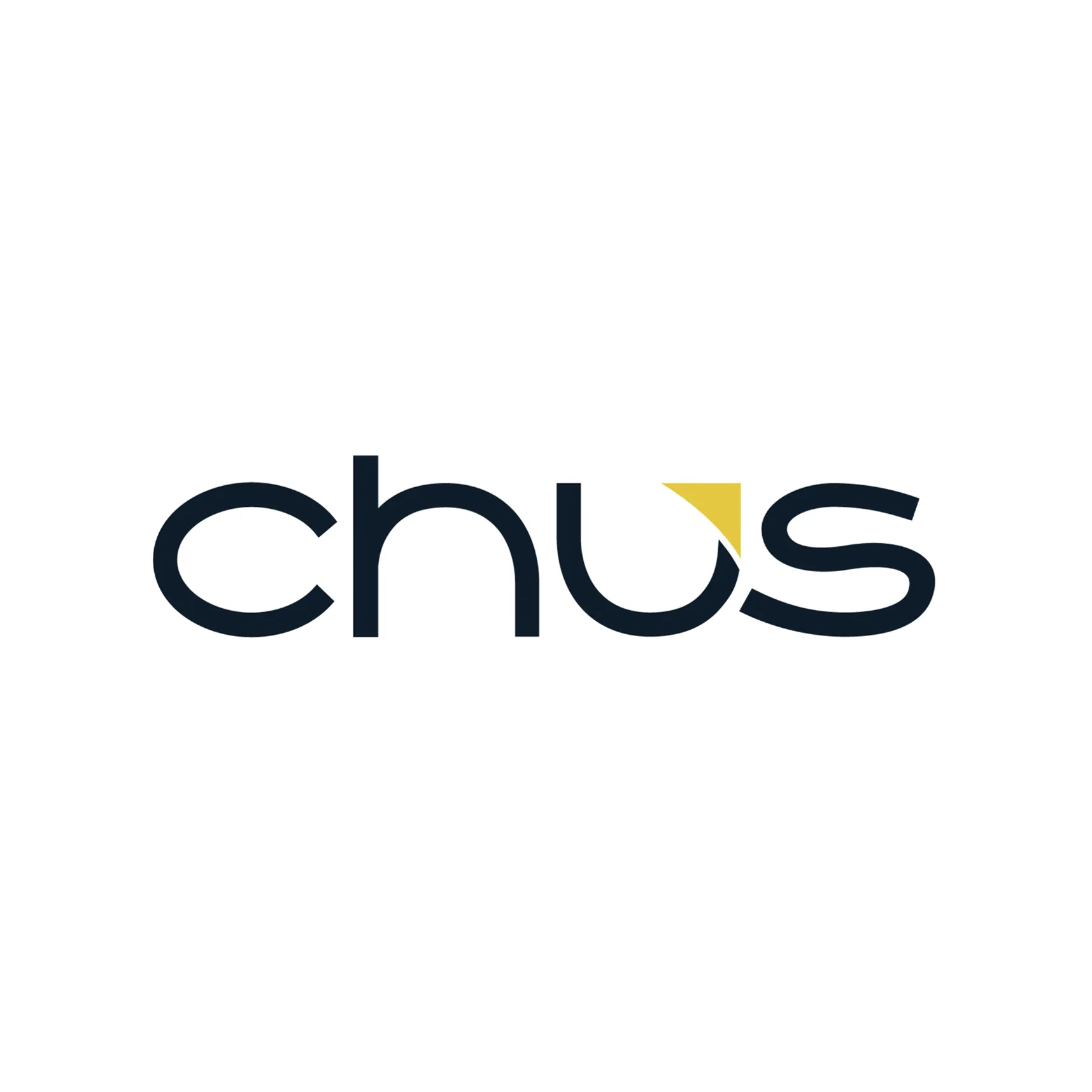 CHUSVN CO., LTD