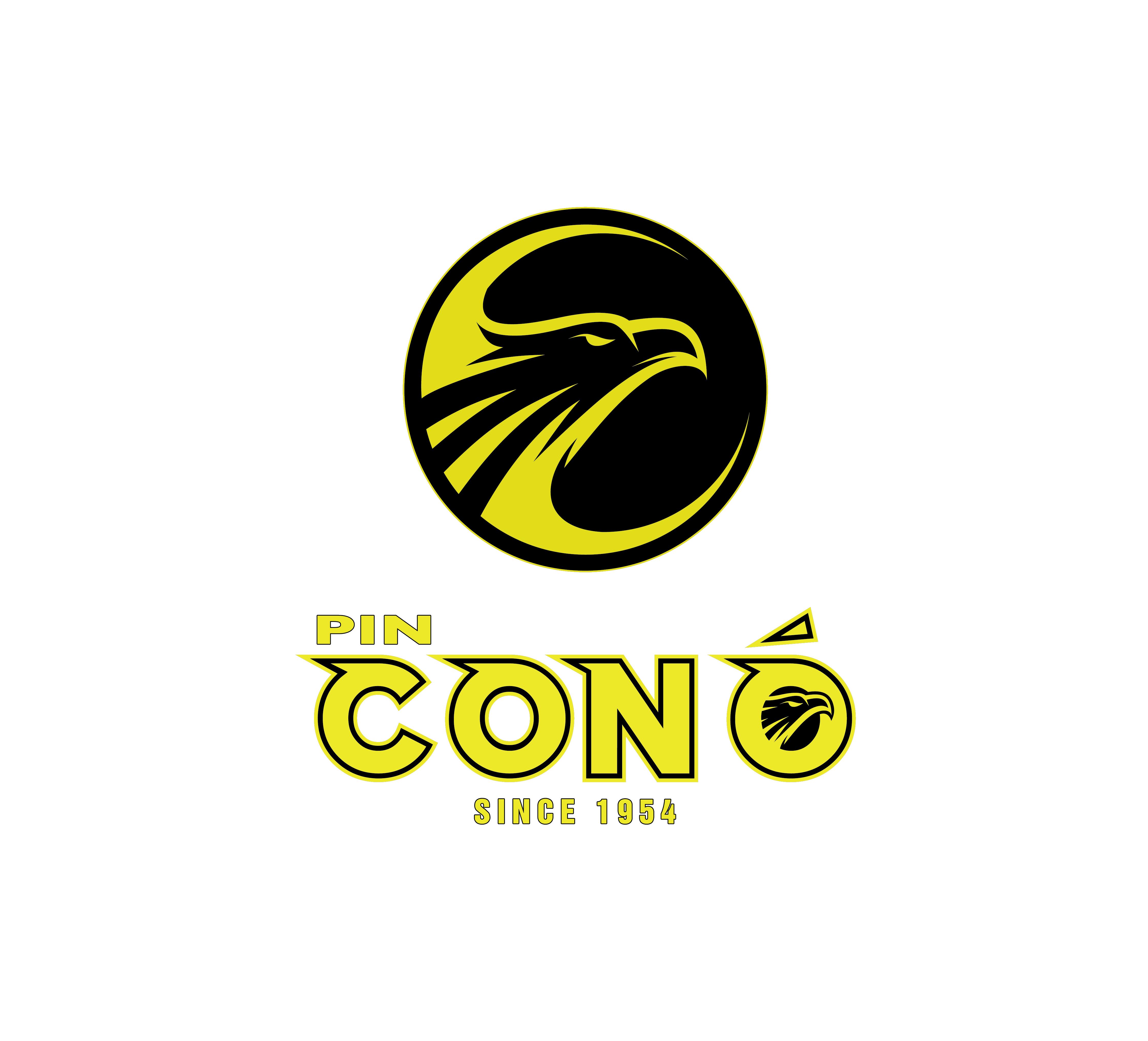 CHI NHÁNH CÔNG TY CỔ PHẦN PIN ẮC QUY MIỀN NAM - XÍ NGHIỆP PIN CON Ó