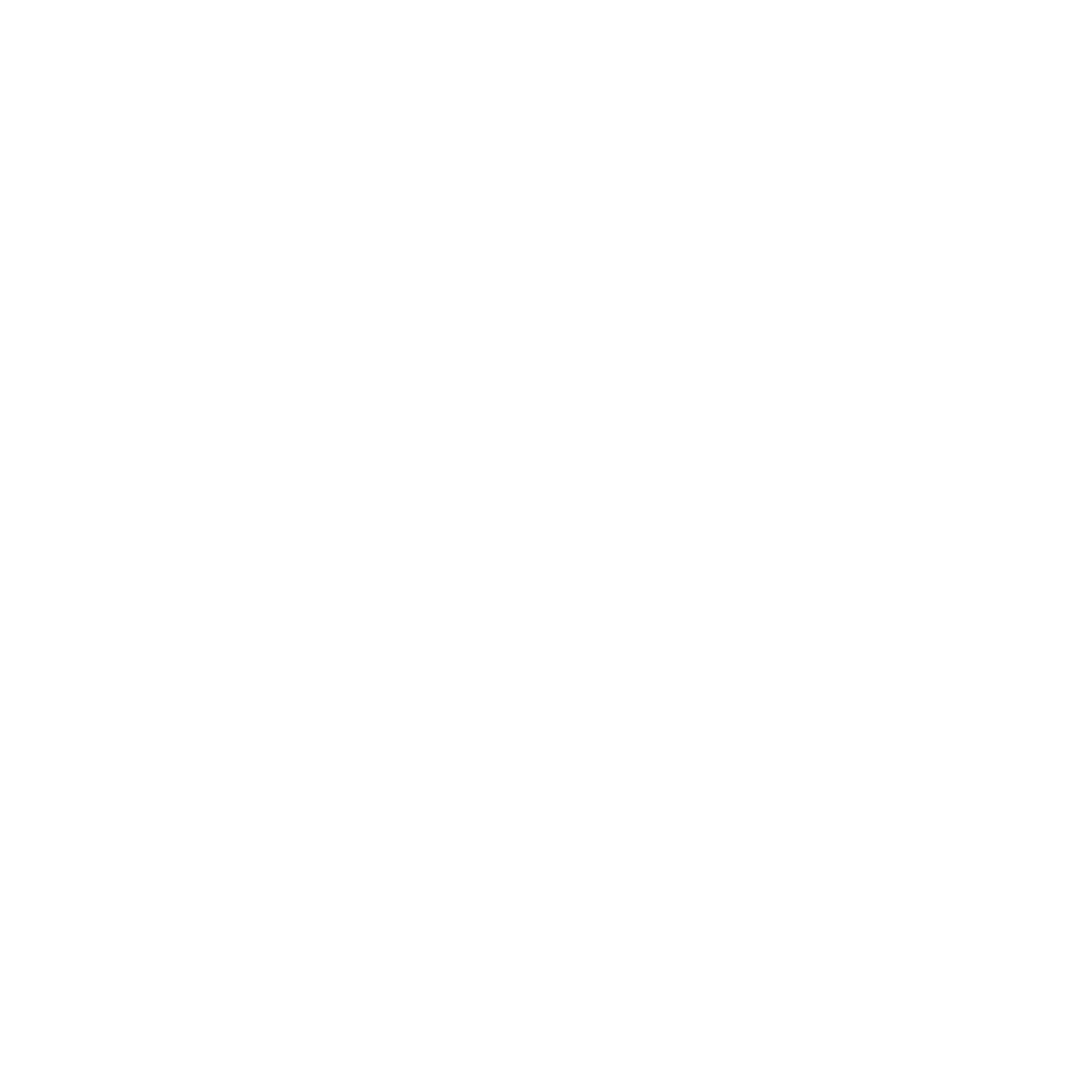 Công ty cổ phần TSX