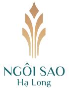Công ty cổ phần đầu tư Ngôi sao Hạ Long