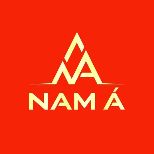 CÔNG TY CỔ PHẦN THƯƠNG MẠI DỊCH VỤ VÀ PHÁT TRIỂN ĐỊA ỐC NAM Á