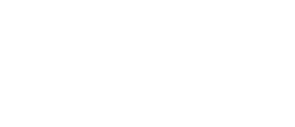 Ebisol Viet Nam
