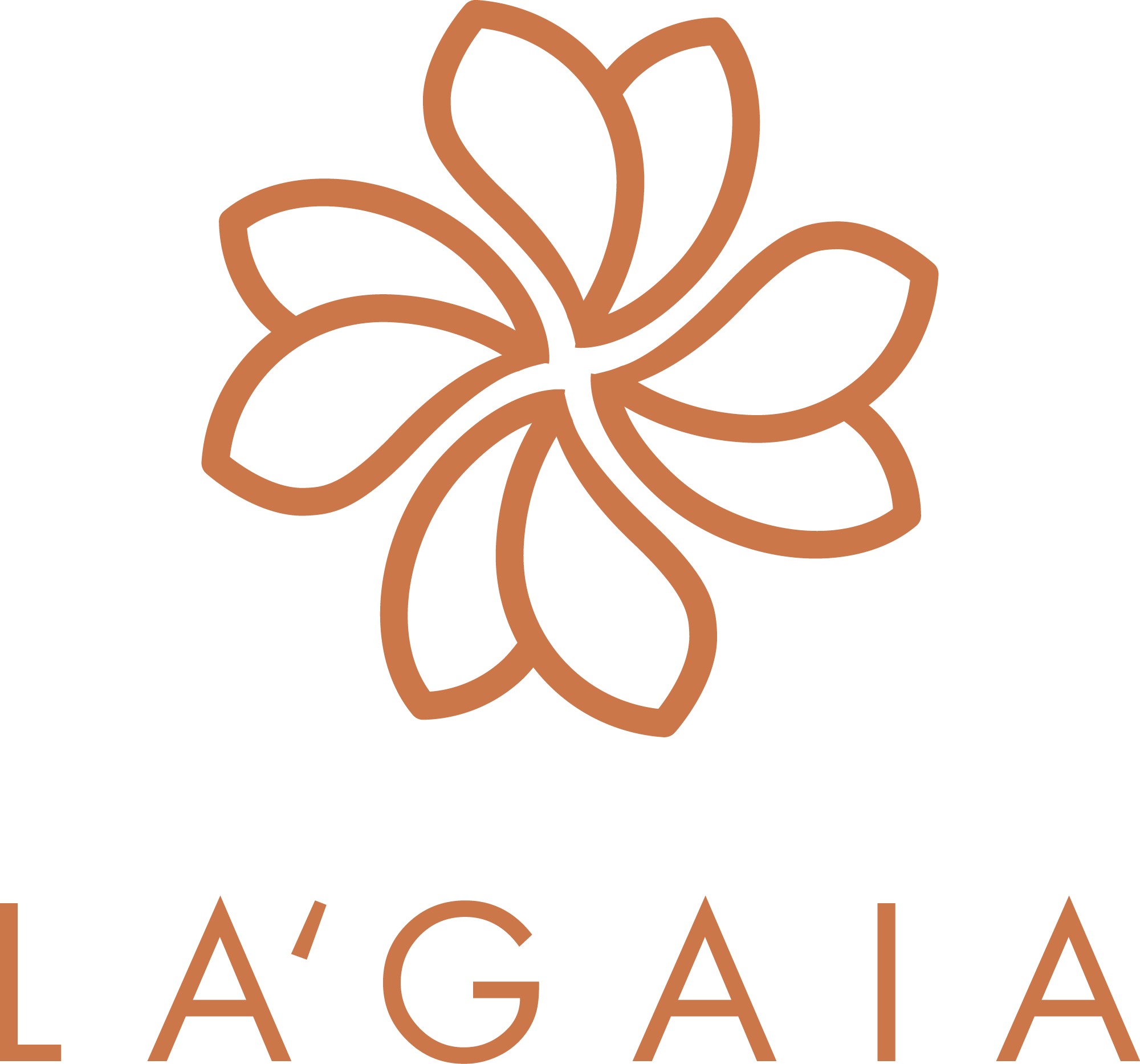 CÔNG TY CỔ PHẦN LA'GAIA VIETNAM