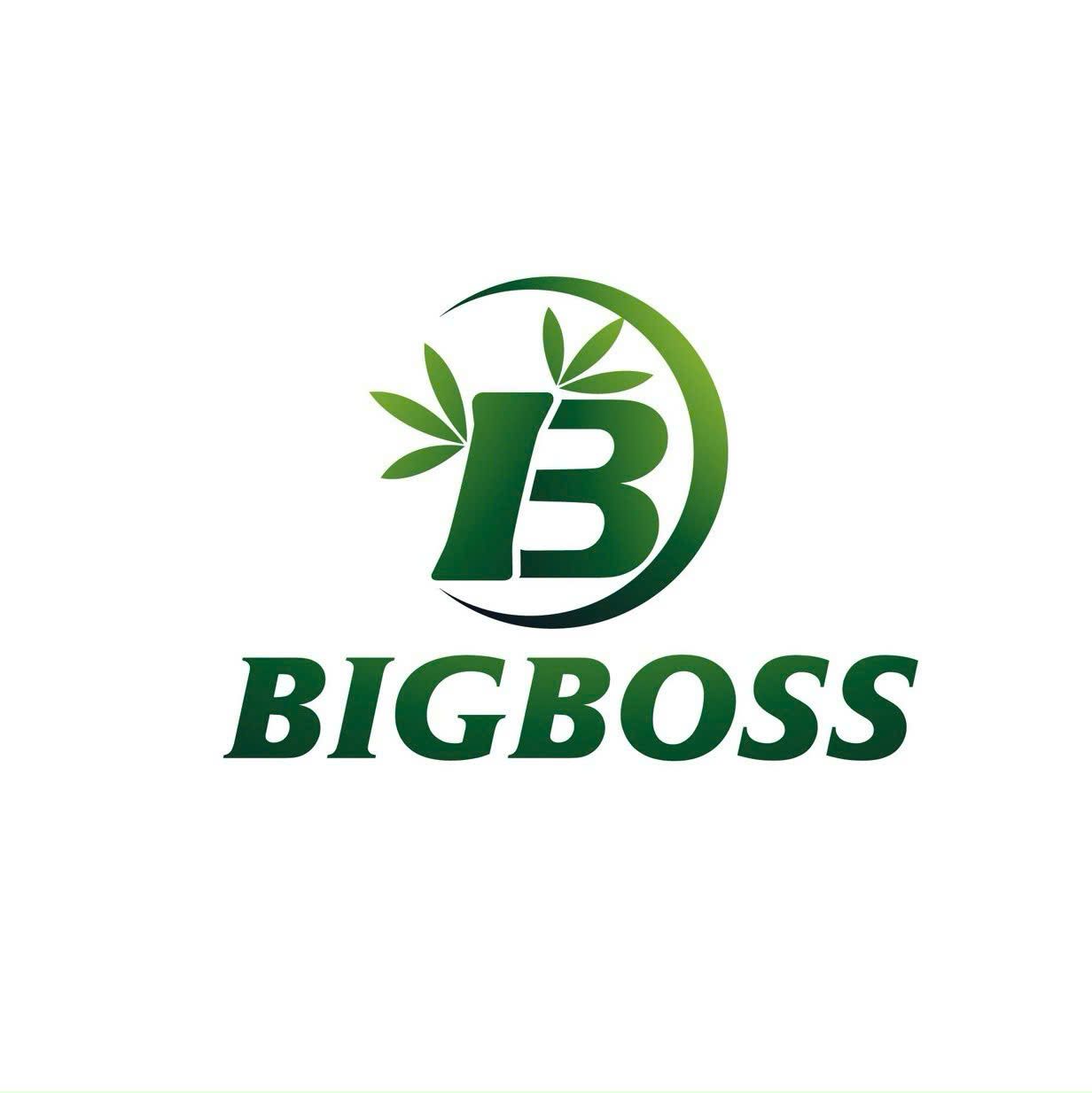 CÔNG TY TNHH XNK VÀ TM BIGBOSS
