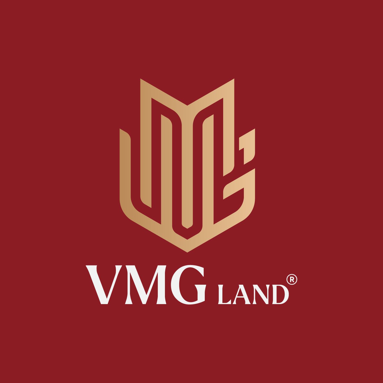 CÔNG TY CỔ PHẦN VMG LAND