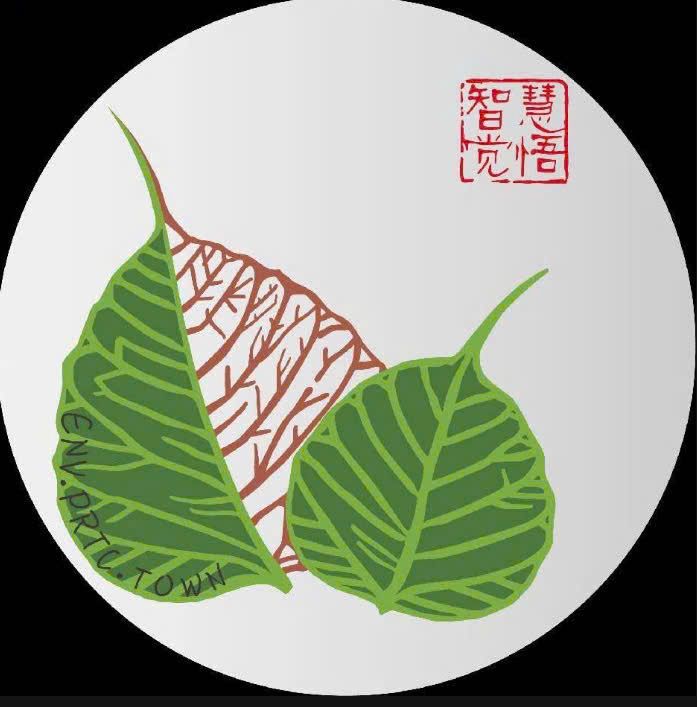 CÔNG TY TNHH THƯƠNG MẠI VÀ DỊCH VỤ PHÚ HẢI HUY