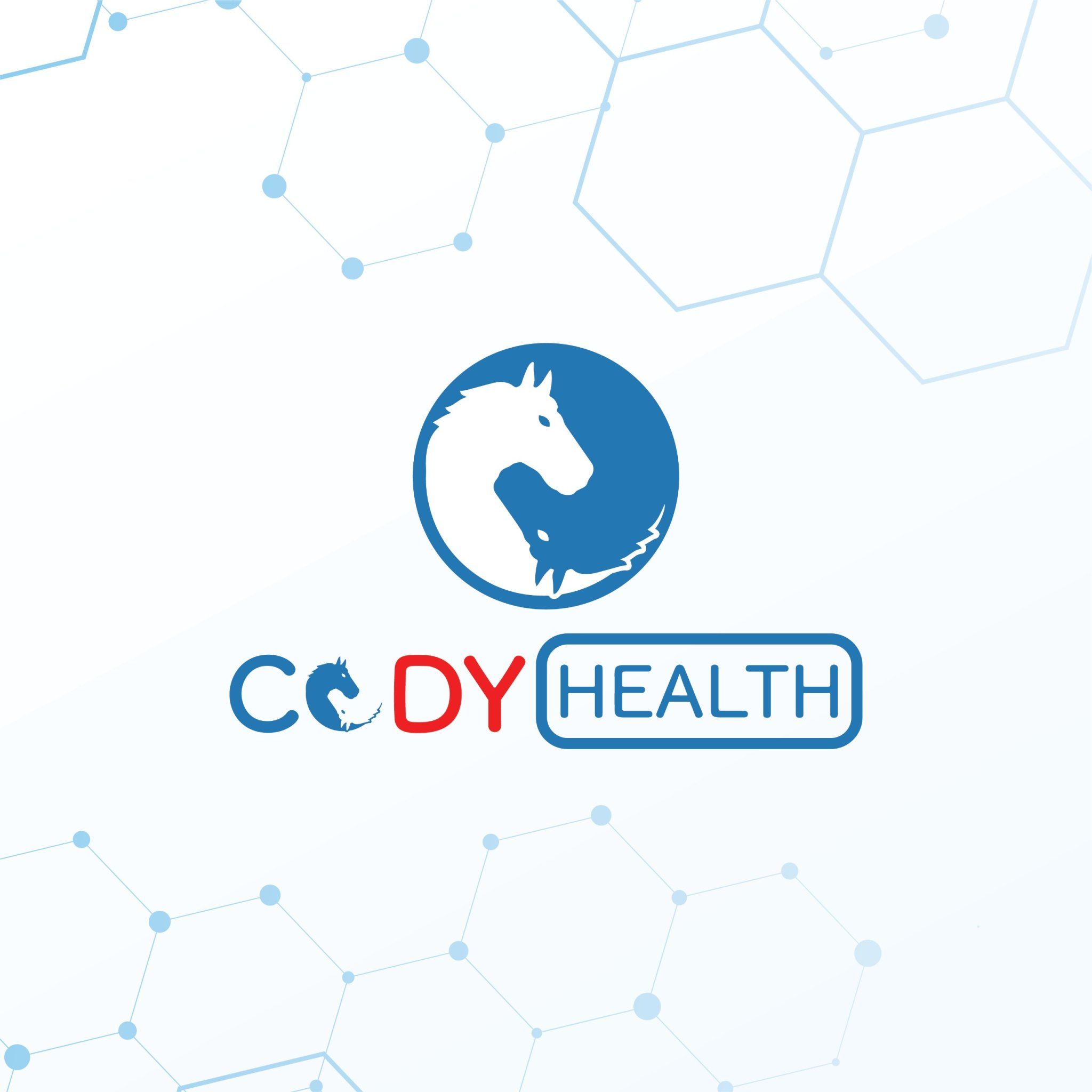 Công ty cổ phần CODY HEALTH
