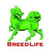 Công ty Cổ phần BreedLife