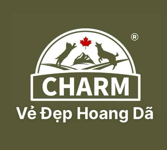 CÔNG TY TNHH CHARM INFINITY