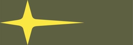 SHINSUNG VINA CO.,LTD